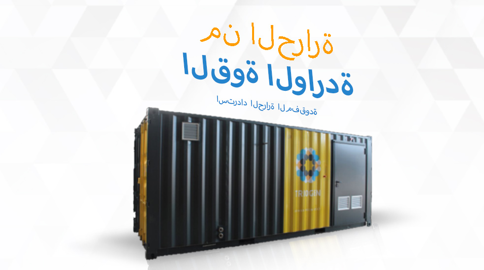 Triogen دورة رانكين العضوية